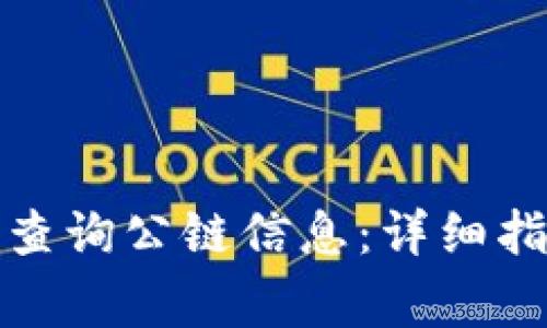 如何在ImToken上查询公链信息：详细指南与常见问题解答