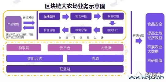 如何在im钱包中寻求技术支持与反馈？_浅在结构中寻求意义_im钱包可以放量子链吗